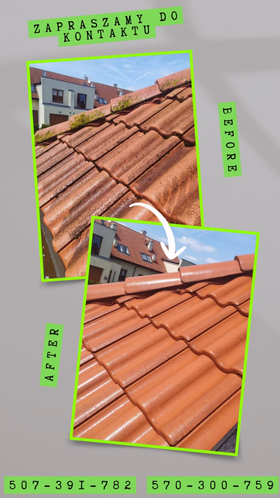 mycie i czyszczenie dachów i rynien